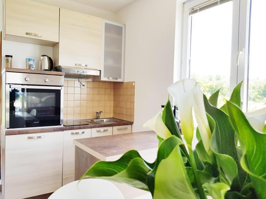 Talija Apartments Krimovica Budva Exteriér fotografie
